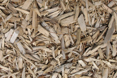 biomass boilers Marchwiel