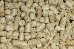 Marchwiel biomass boiler costs